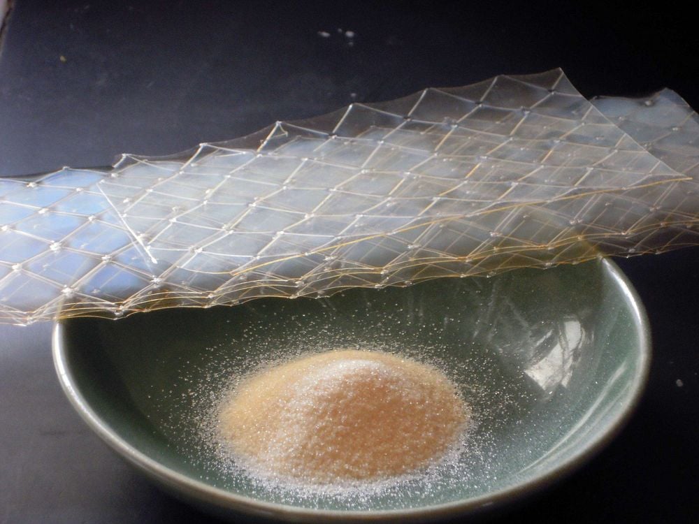 Gelatin bột