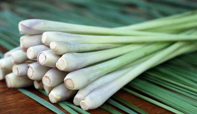 Sả 2 cây, ớt, tỏi, hành tím