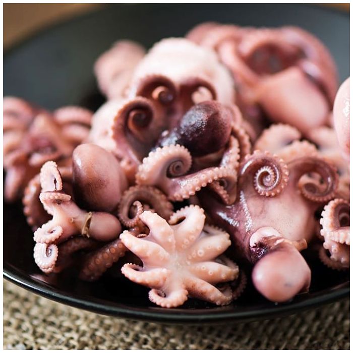 Bạch tuộc tươi