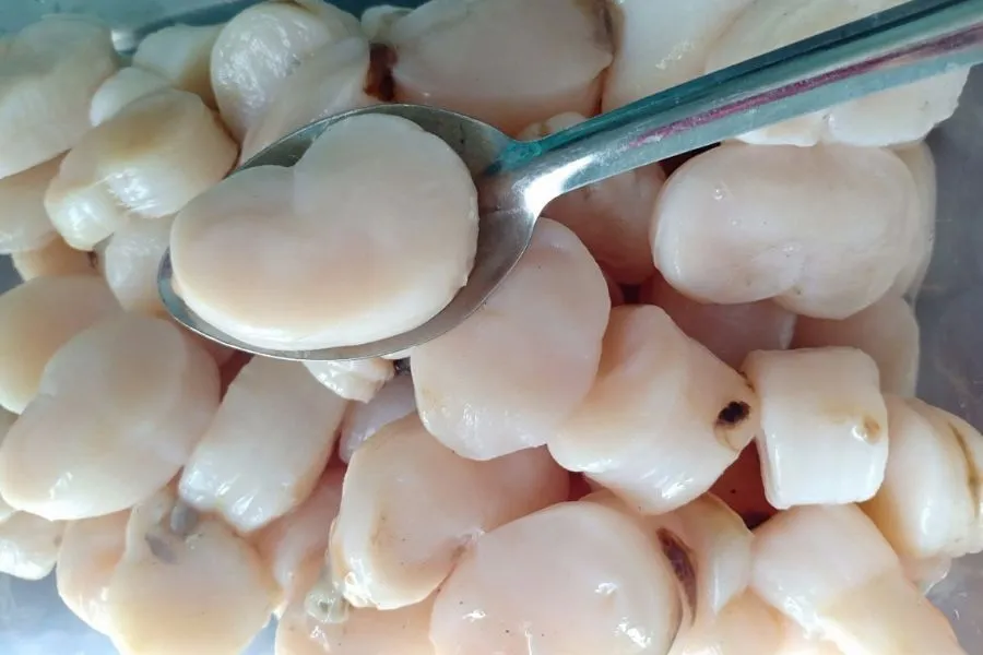 Cồi sò mai tươi