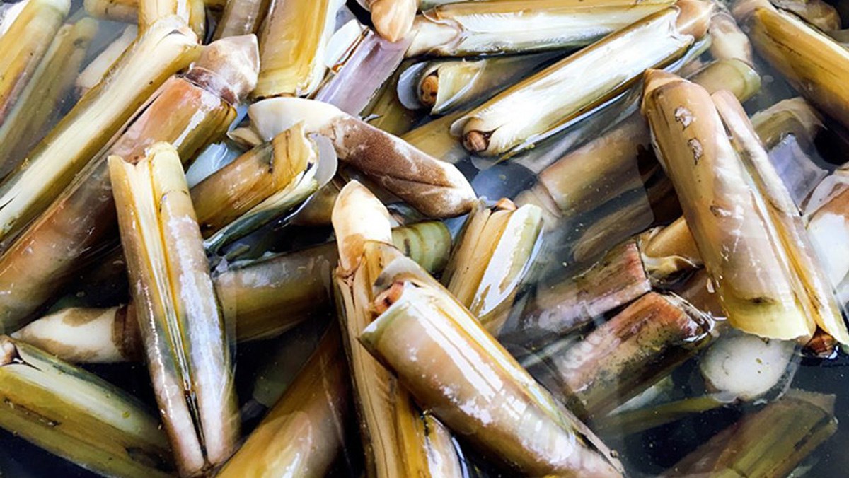 Ốc móng tay tươi