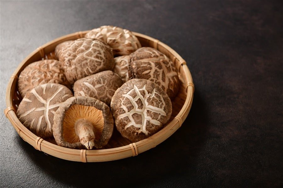 Nấm shiitake